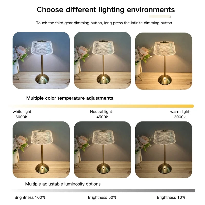 Rechargeable Touch LED Desktop Lamp