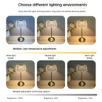 Rechargeable Touch LED Desktop Lamp