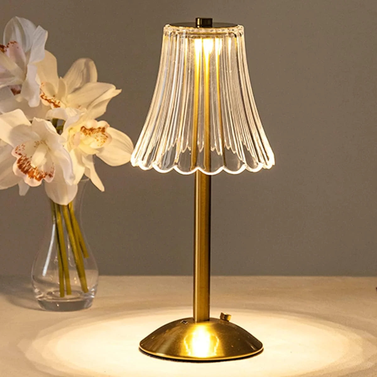 Rechargeable Touch LED Desktop Lamp