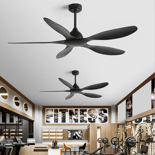 56-Inch Modern Energy Efficient DC Motor Ceiling Fan with Remote Control